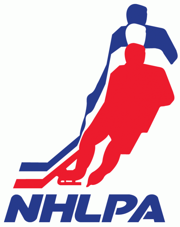 NHLPA 1971-2013 Primary Logo t shirts iron on transfers